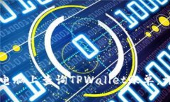 如何在电脑上查询TPWallet账单:详尽指南