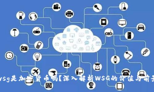 wsg是加密货币吗?深入解析WSG的价值与前景