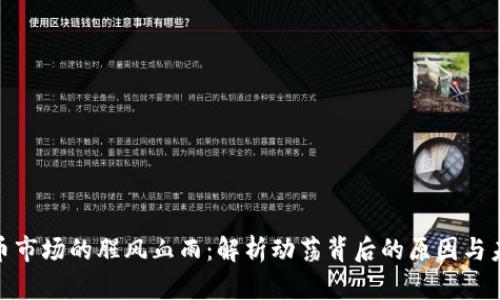 加密货币市场的腥风血雨:解析动荡背后的原因与未来趋势