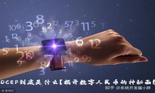  DCEP到底是什么？揭开数字人民币的神秘面纱
