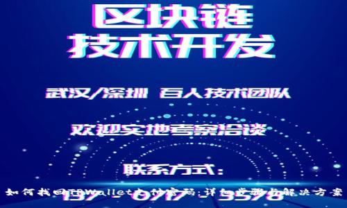 如何找回TPWallet支付密码：详细步骤与解决方案