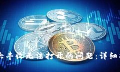 如何解决TPWallet大丰收无法打开的问题：详细指南