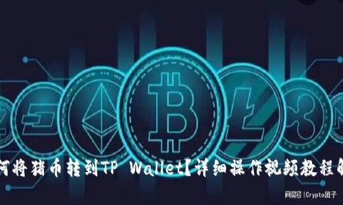 如何将猪币转到TP Wallet?详细操作视频教程解析