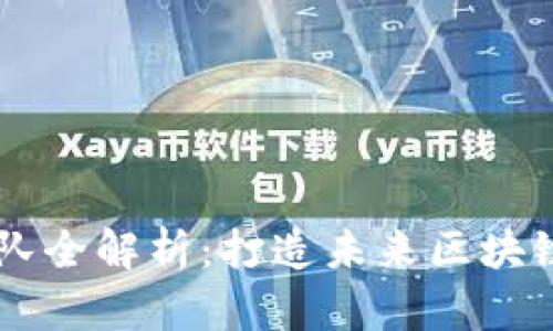 TPWallet开发团队全解析：打造未来区块链钱包的先锋力量