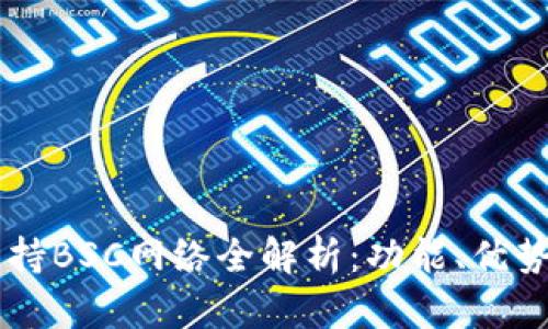 TPWallet支持BSC网络全解析:功能、优势及使用指南