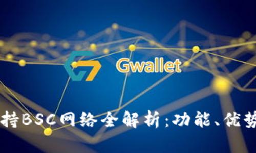 TPWallet支持BSC网络全解析:功能、优势及使用指南