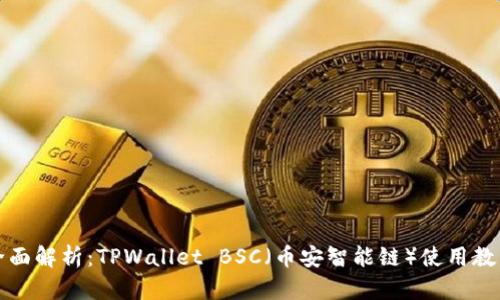 全面解析:TPWallet BSC(币安智能链)使用教程