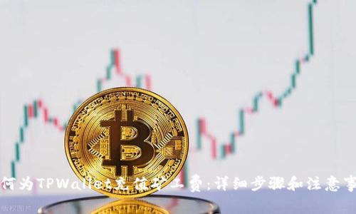 如何为TPWallet充值矿工费:详细步骤和注意事项