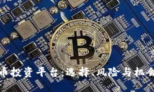 加密数字货币投资平台:选择、风险与机会的全面指南