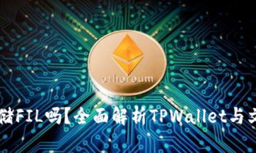 TPWallet能存储FIL吗?全面解析TPWallet与文件币存储功能