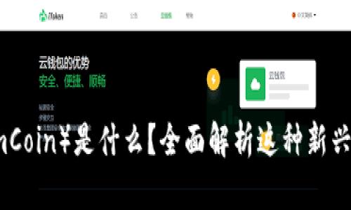 DOM(DomCoin)是什么?全面解析这种新兴加密货币