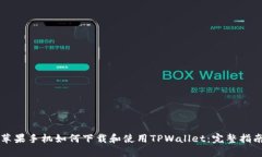 苹果手机如何下载和使用TPWallet：完整指南