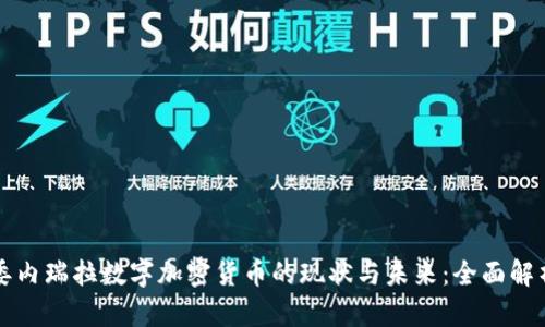 委内瑞拉数字加密货币的现状与未来:全面解析