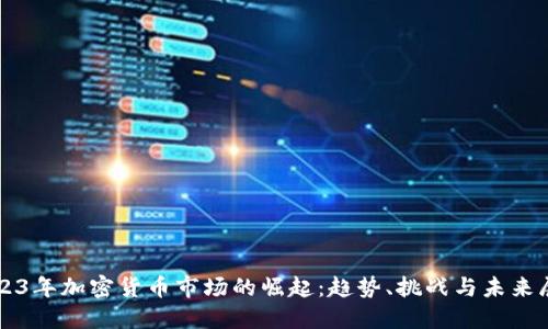2023年加密货币市场的崛起:趋势、挑战与未来展望