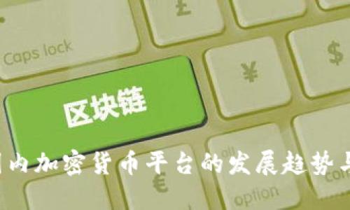 2024年国内加密货币平台的发展趋势与未来展望
