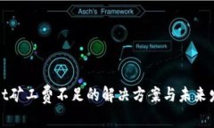 TPWallet矿工费不足的解决方案与未来发展趋势