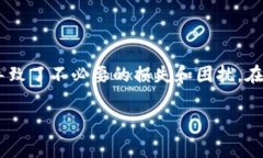 在TP Wallet（通常指的是用于管理加密货币的数字