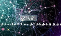 TPWallet 是一种数字资产钱包，但它并不是一条独