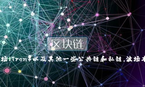 TPWallet 是一种数字资产钱包，但它并不是一条独立的公链。TPWallet 支持多种区块链，包括波场（Tron）以及其他一些公共链和私链。波场本身是一条基于区块链技术的公链，致力于通过去中心化的方式，提供内容分享和娱乐相关的服务。

如果您对 TPWallet 或波场的其他方面有兴趣，随时可以询问！