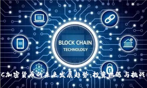 BCSC加密货币的未来发展趋势：投资机遇与挑战分析