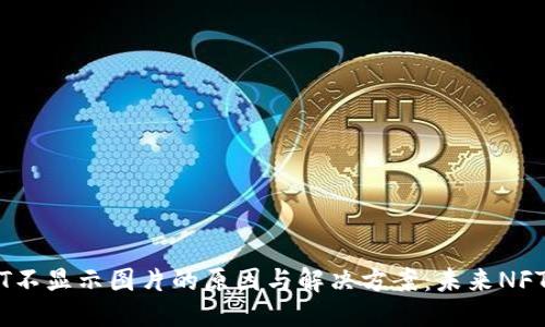 ### 
TPWallet NFT不显示图片的原因与解决方案：未来NFT发展趋势解析