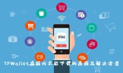 TPWallet在国内不能下载的原因及解决方案