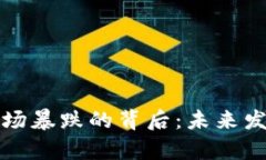 加密货币市场暴跌的背后：未来发展趋势分析