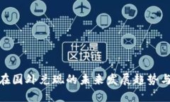 加密货币在国外兑现的未来发展趋势与市场机遇