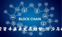 非洲加密货币未来发展趋势：潜力与挑战并存