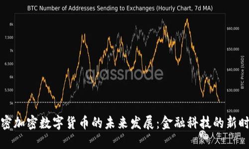 解密加密数字货币的未来发展：金融科技的新时代