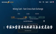 : 中国加密货币的现状与未来发展趋势