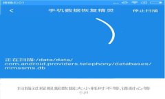 如何解决TPWallet无法发现的问题：详尽指南