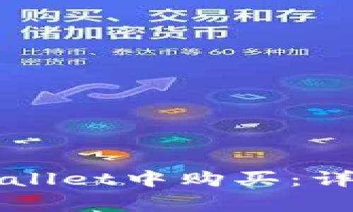 山寨币如何在TPWallet中购买：详细指南与注意事项