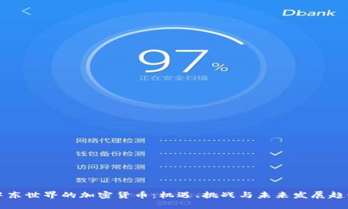 中东世界的加密货币：机遇、挑战与未来发展趋势