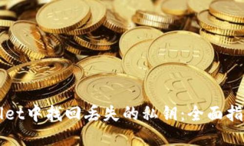 如何在TPWallet中找回丢失的私钥：全面指南与解决方案