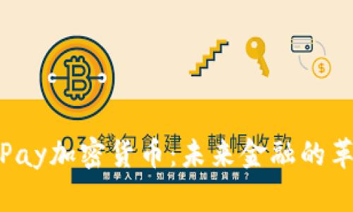 全面解析Pay加密货币：未来金融的革命性趋势