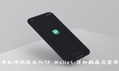 人民币如何快速充入TP Wallet：详细指南与实用技