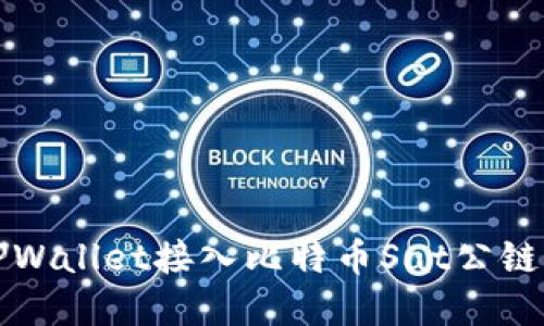 如何通过TPWallet接入比特币Sat公链的完整指南