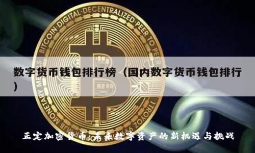 正定加密货币：未来数字资产的新机遇与挑战
